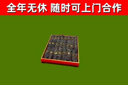 红河烟酒回收海参.jpg
